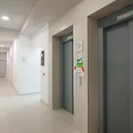 דירה Xenia טיראנה